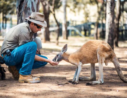 Australia zoo