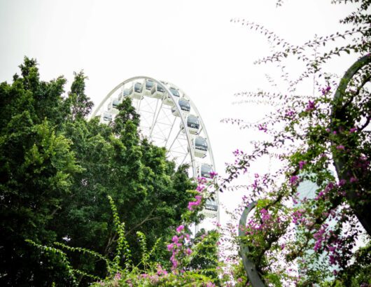 Photo by Nate Biddle from Pexels: https://www.pexels.com/photo/wheel-and-boganvillia-20739669/