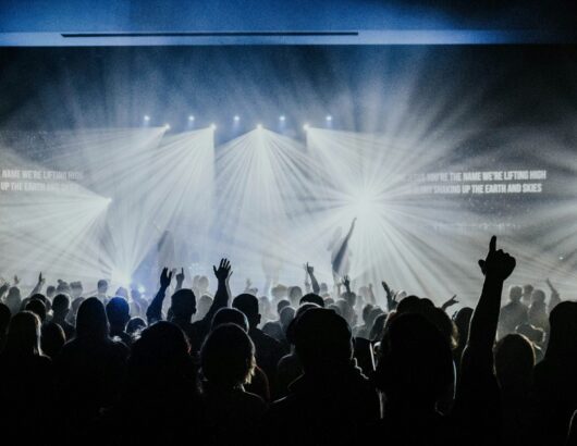 The image of the crows in the concert